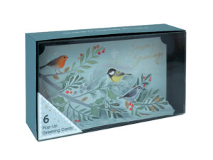 WINTER BIRDS BOXED CARDS