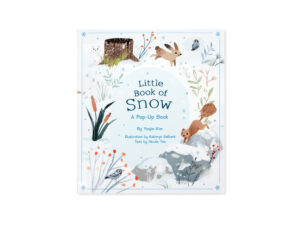 LITTLE BOOK OF SNOW