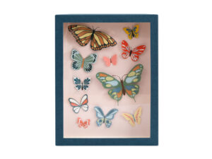 BUTTERFLY CURIO FRAME CRAFT KIT