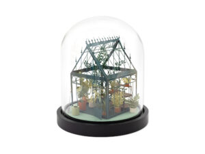 BOTANICAL GREENHOUSE DOME CRAFT KIT